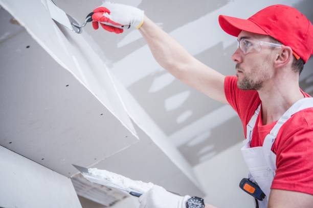 Best Ceiling Drywall Installation  in Granby, MO